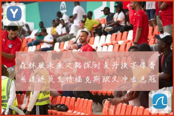 森林狼未来之路探讨麦丹换字母哥或追逐莫兰特福克斯欧文冲击总冠军